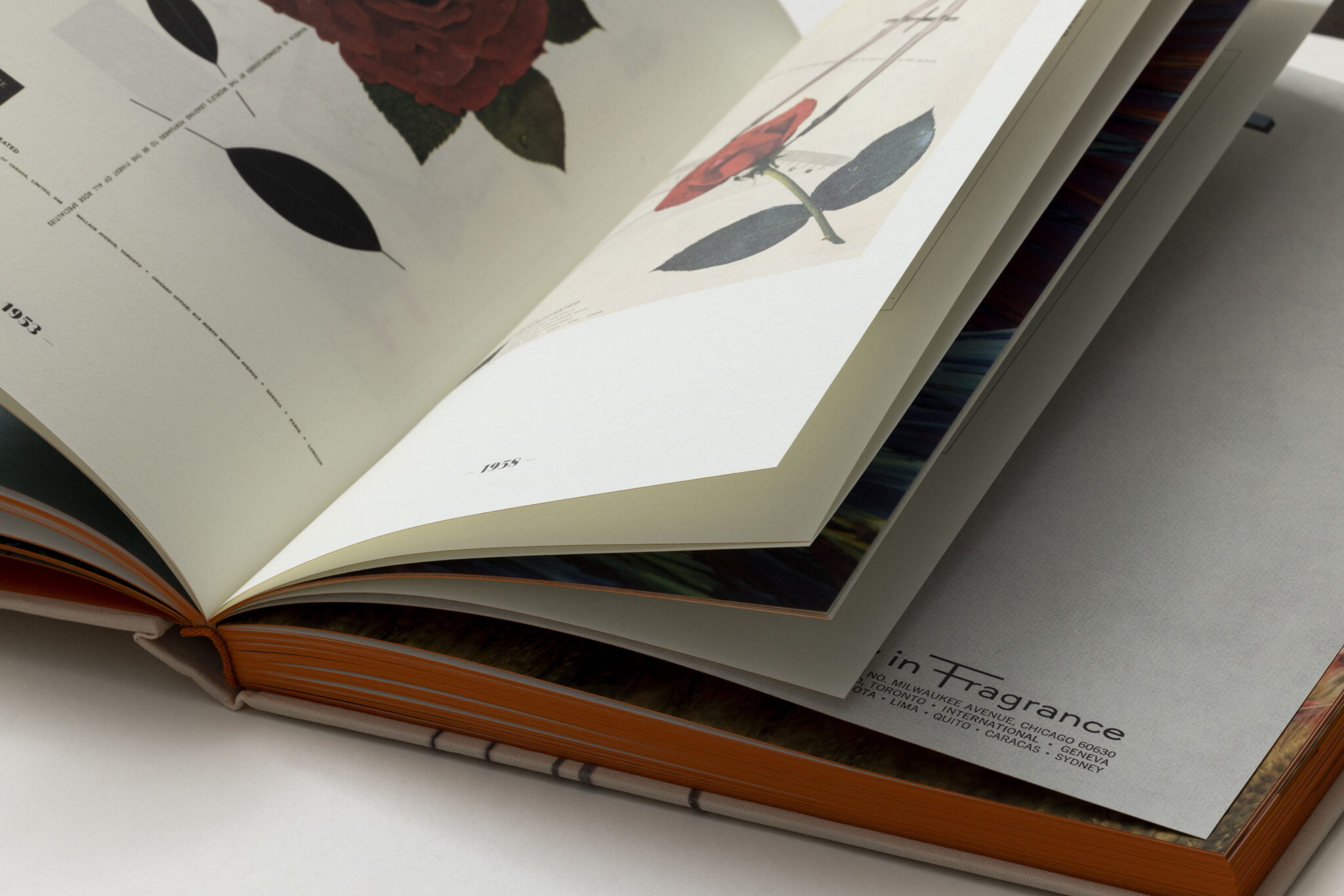 Livre La Maison Sur Mesure